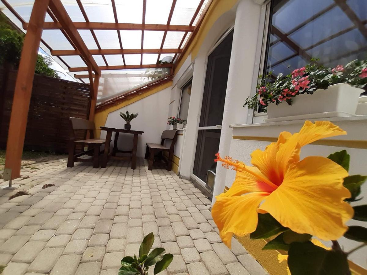 Thermal Garden *