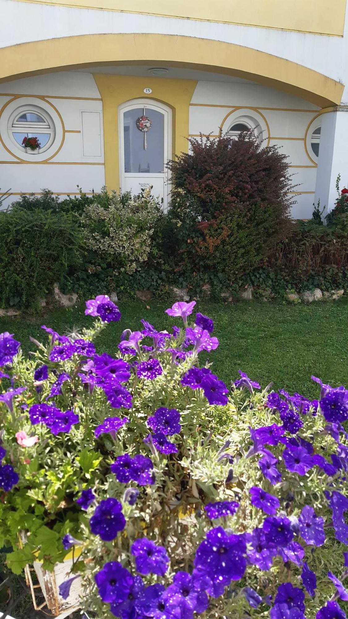 Thermal Garden Apartament